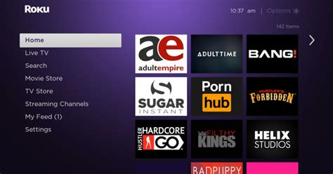 roku tv porn apps|Welcome to AdultStreamingTV.com!